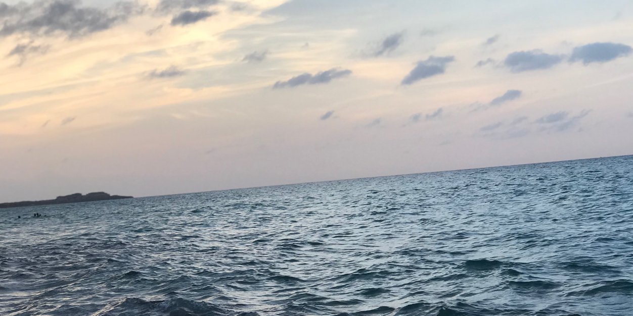 ruronya's profile banner image