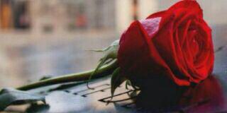 mema_1400's profile banner image