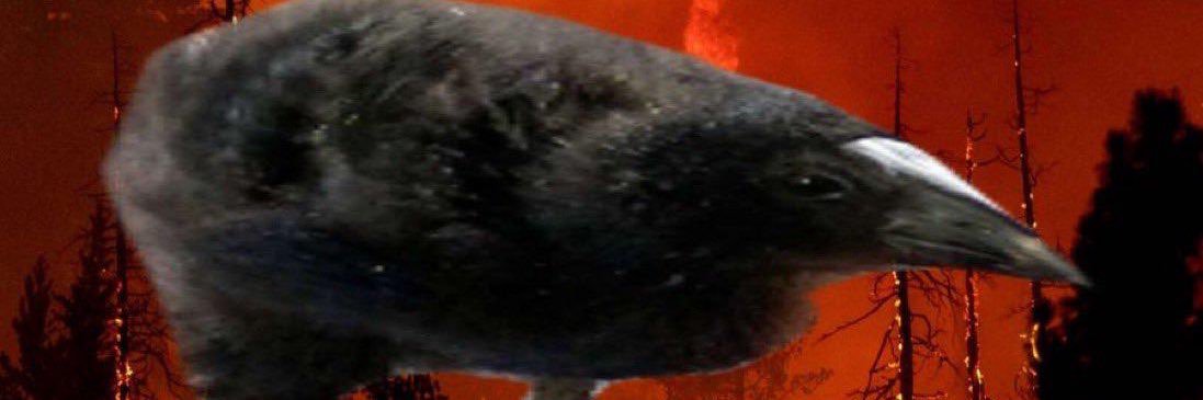creature banner