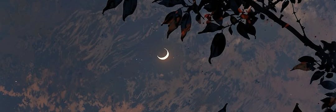 chrisconhinterm's profile banner image