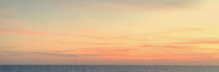 madison_whetro's profile banner image