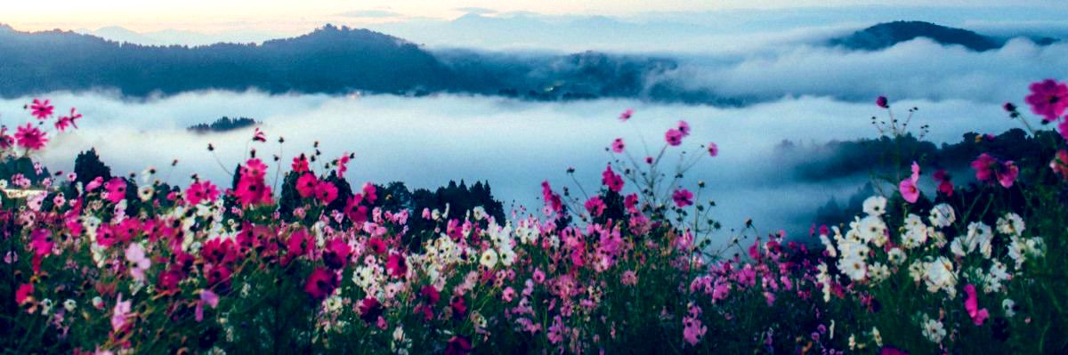 mk 🧸ྀི ❤️ banner