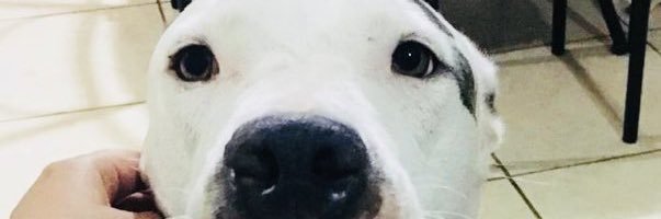 egdita19's profile banner image