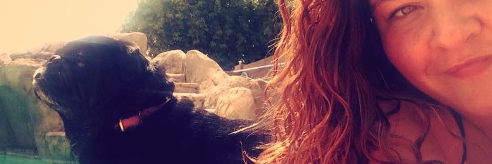 _chels_o's profile banner image