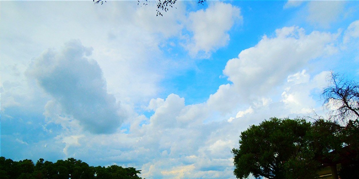 Yumelia's profile banner image