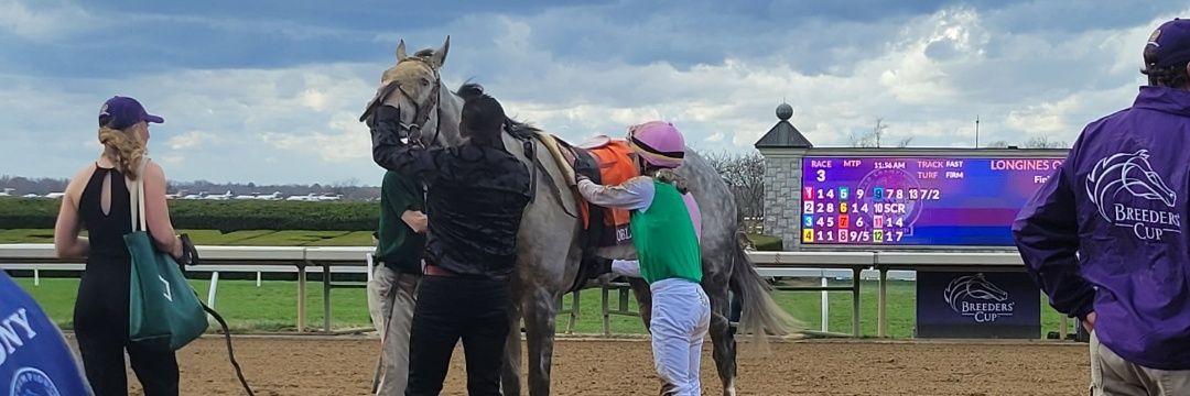 WVHorseandcricket banner