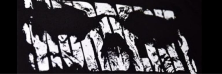 ThatkiddJimmy45's profile banner image
