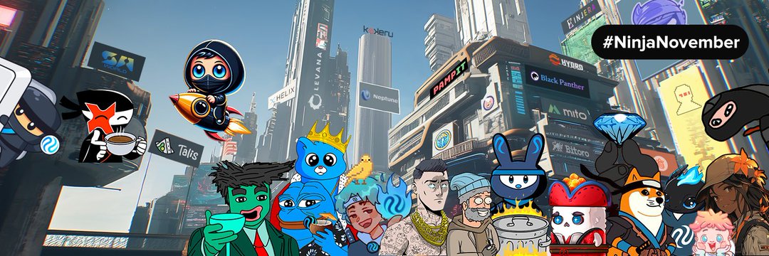 Muhammad Faizan banner