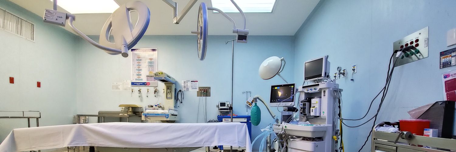 Dogtor Picalomos banner