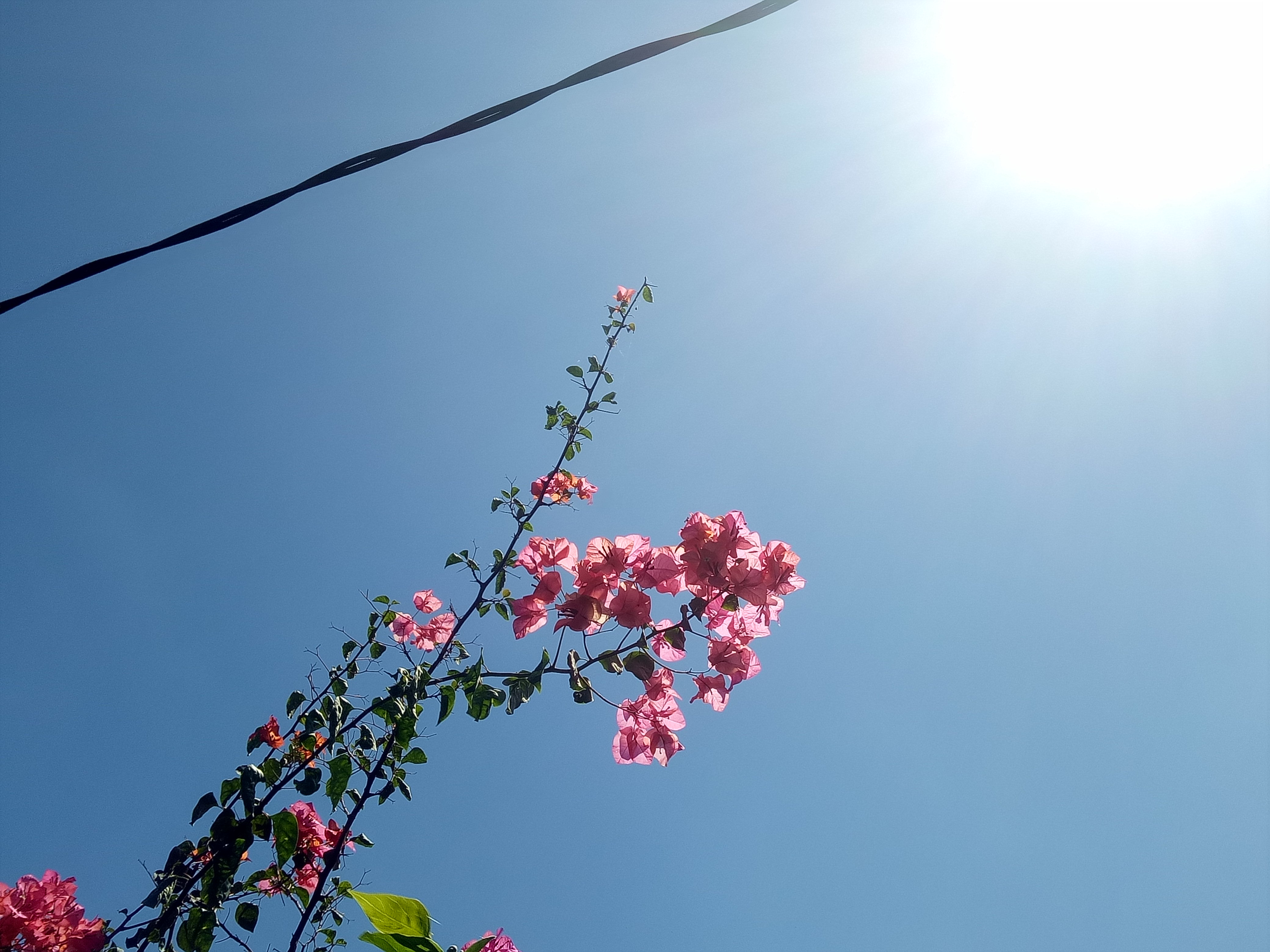 Puspaa_dhani's profile banner image