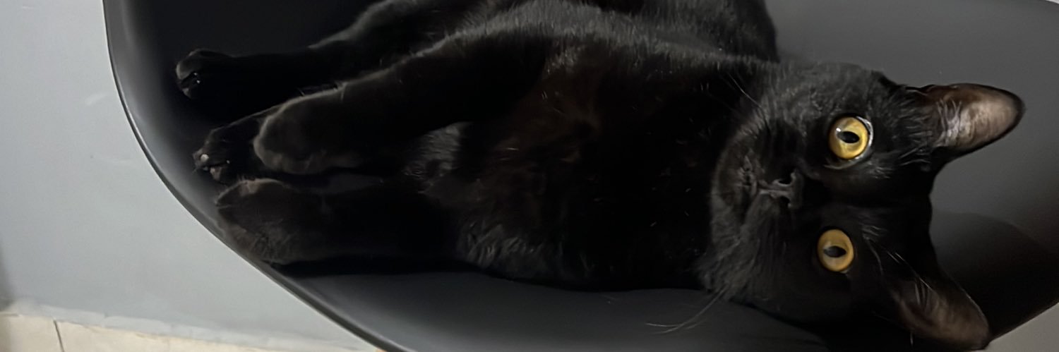 krzvkm's profile banner image