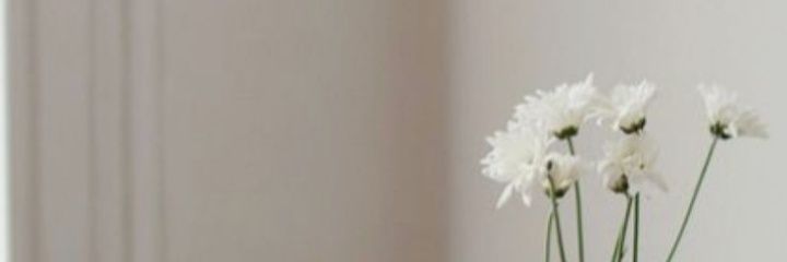 styarima's profile banner image
