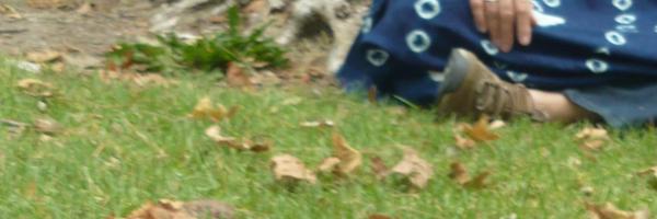 CoachDoe Profile Banner