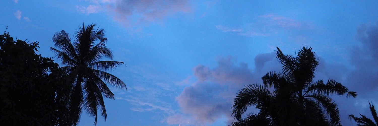 okunomichmo's profile banner image