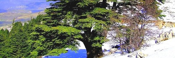 MoAbouChakra Profile Banner