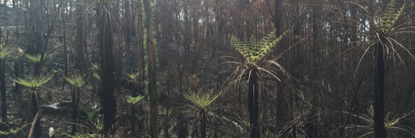 JoeBVic Profile Banner