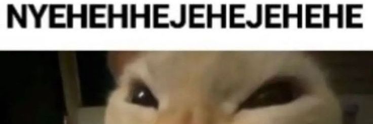 vivyanne! banner