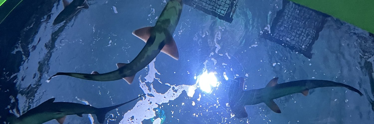 v_vnon's profile banner image