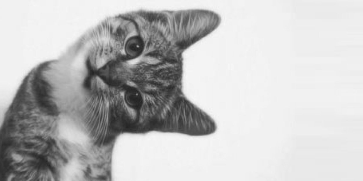 alexis_smith1's profile banner image