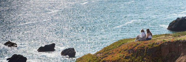 dspitz Profile Banner