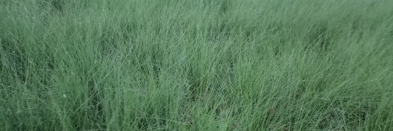 watergome's profile banner image