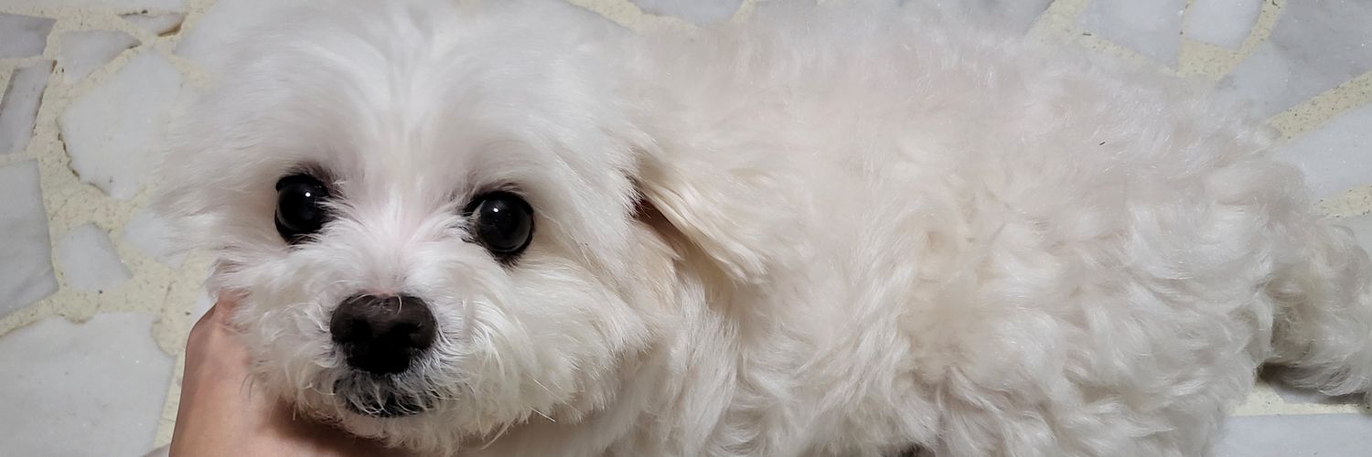 jianglyushang's profile banner image
