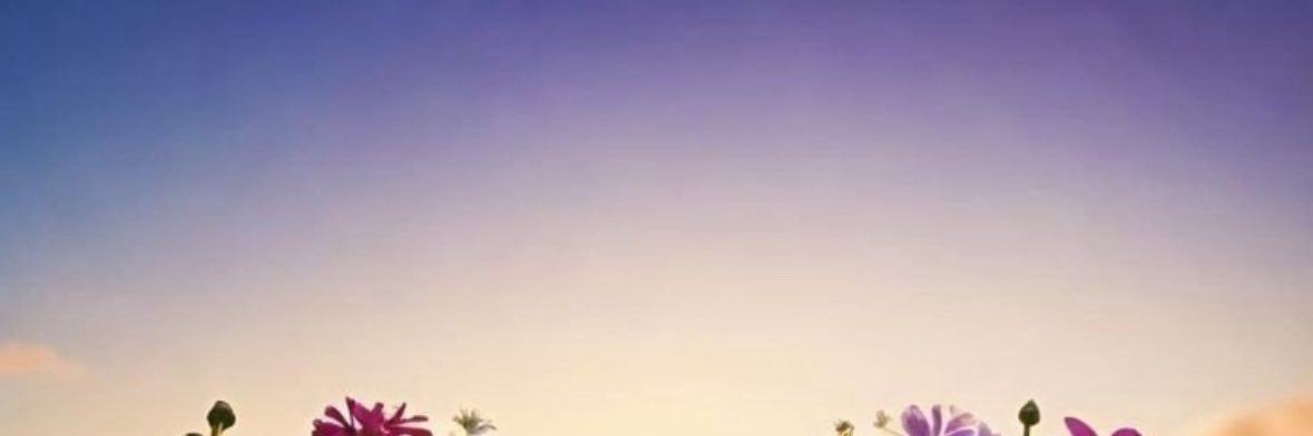 lemonc1230's profile banner image