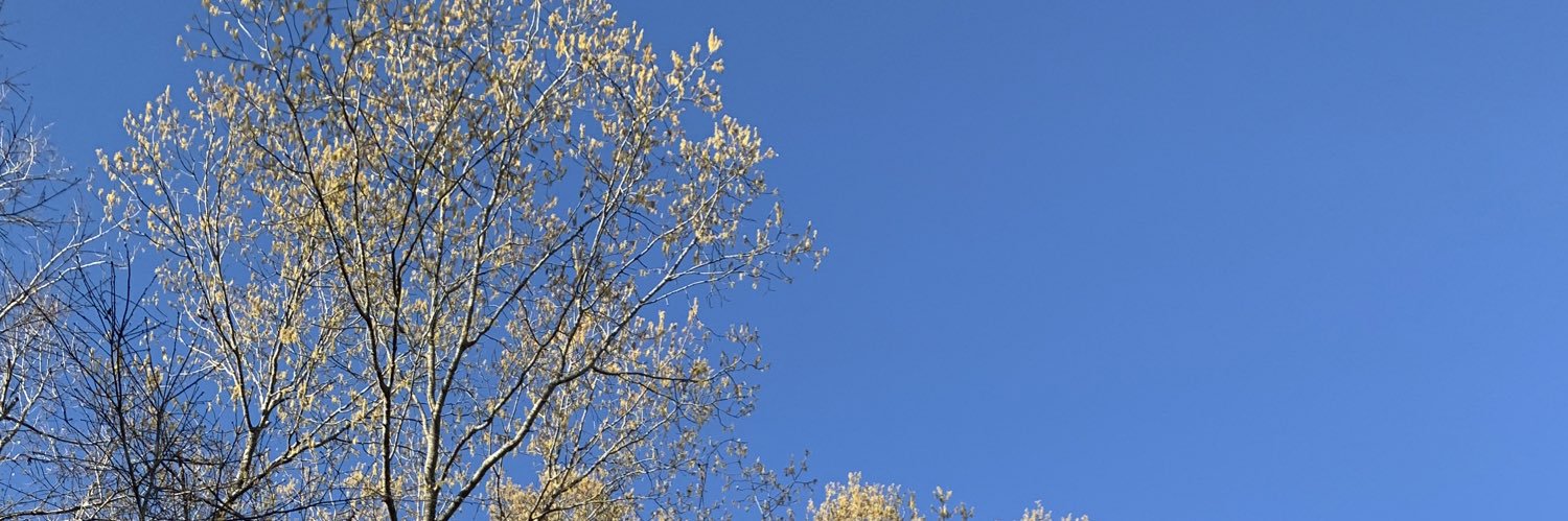 Christone__'s profile banner image