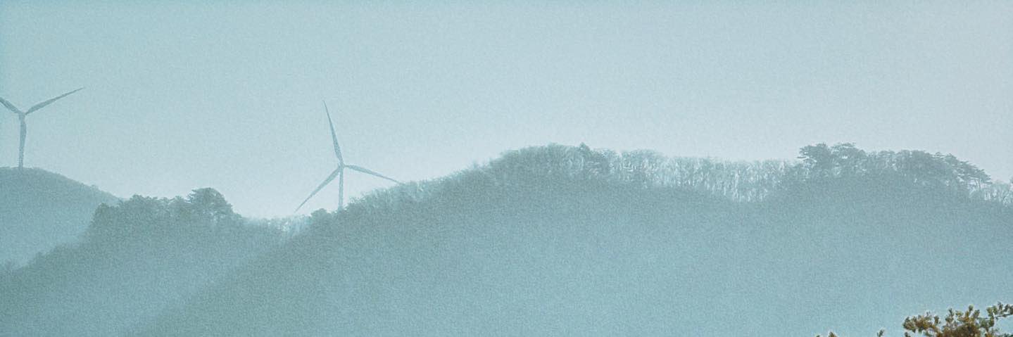 🌷 banner
