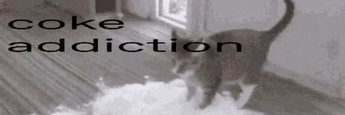 xcahllie's profile banner image