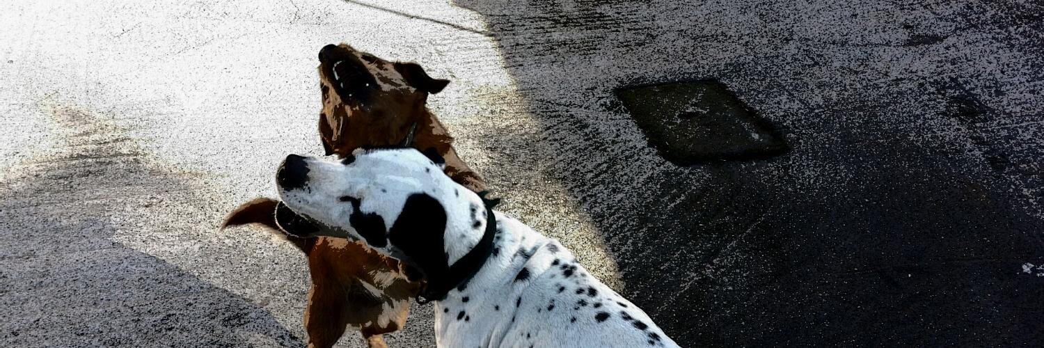 Antonio💙🤍🇹🇷 banner