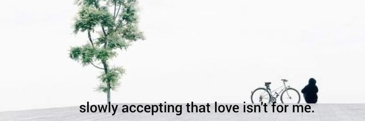 💫~° ധ𑂞ഴി °~🌻 banner