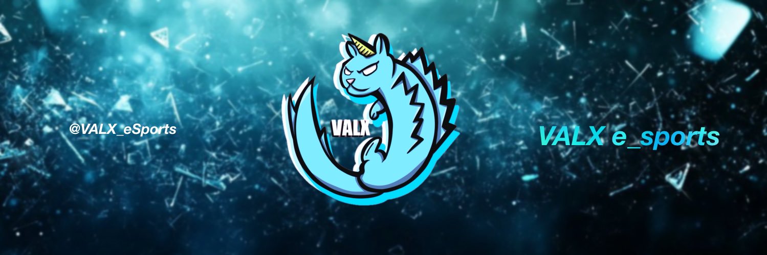 VALX?だみぉ banner