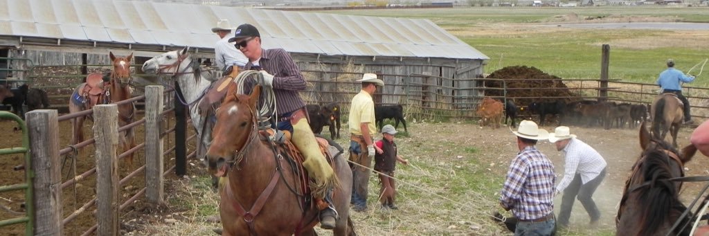 marshallclegg9's profile banner image