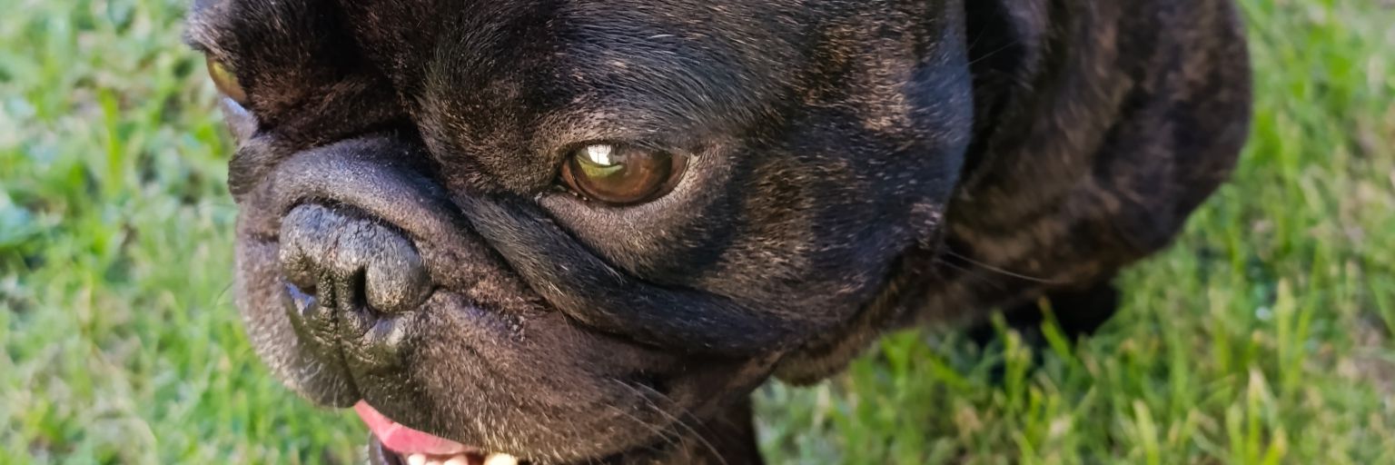 georgibenn's profile banner image