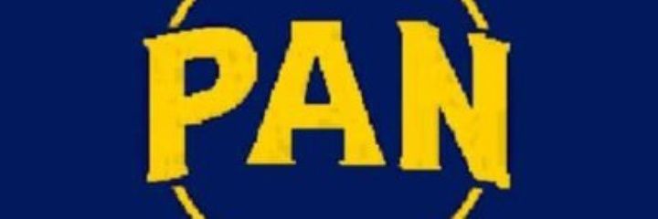 lucesita paiva banner