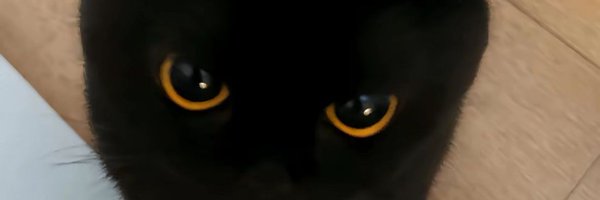 GhettoBeerus Profile Banner