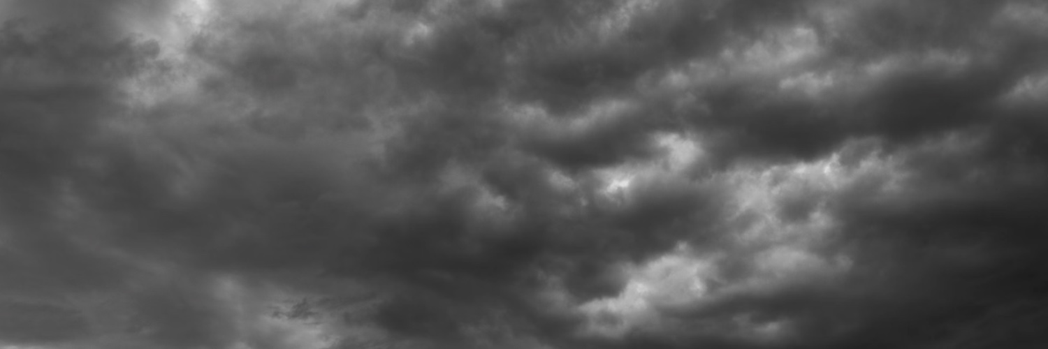 Bill Murphy Jr. banner