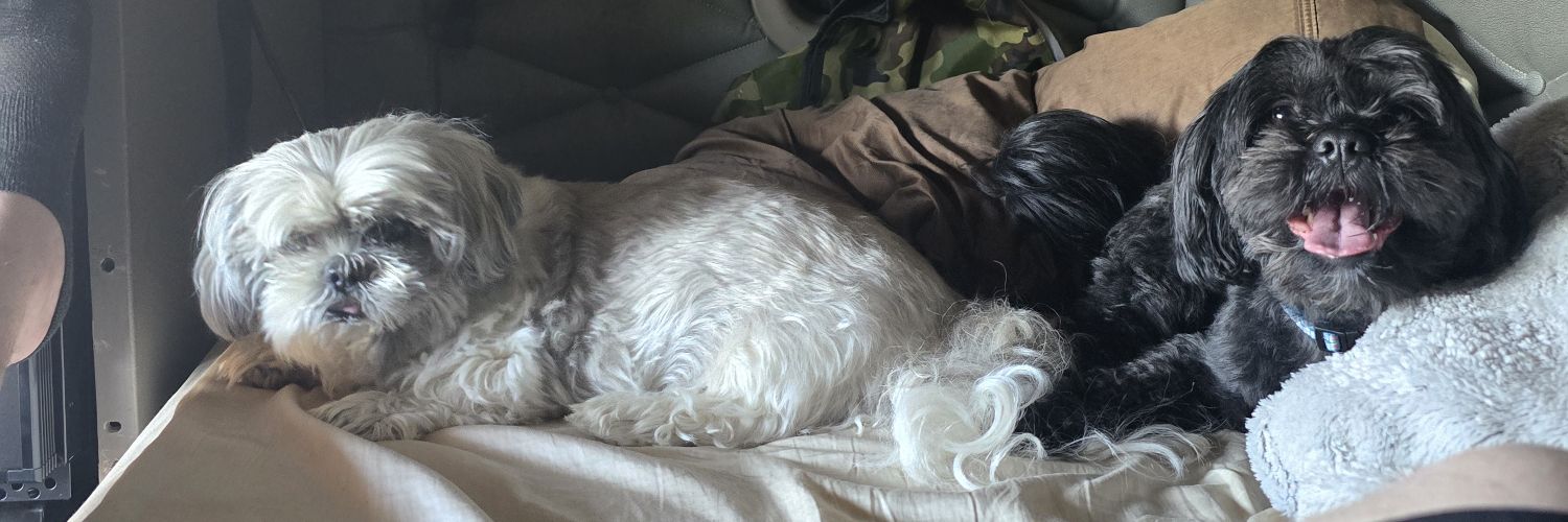 truckin my life away banner