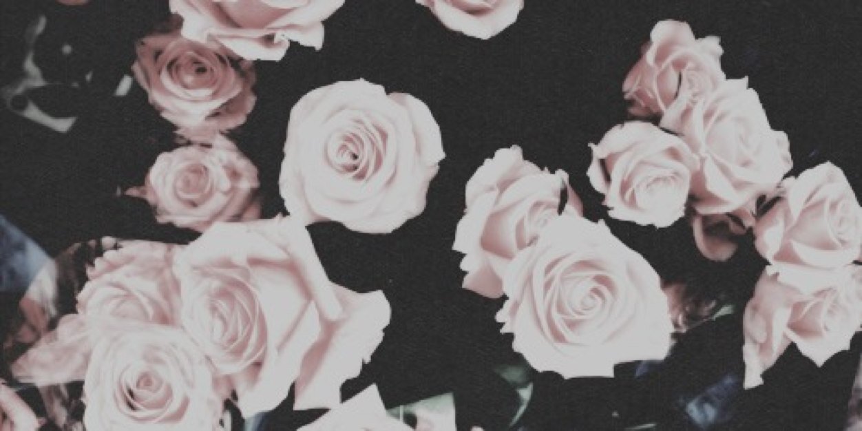 KayleeKnowlesLP's profile banner image