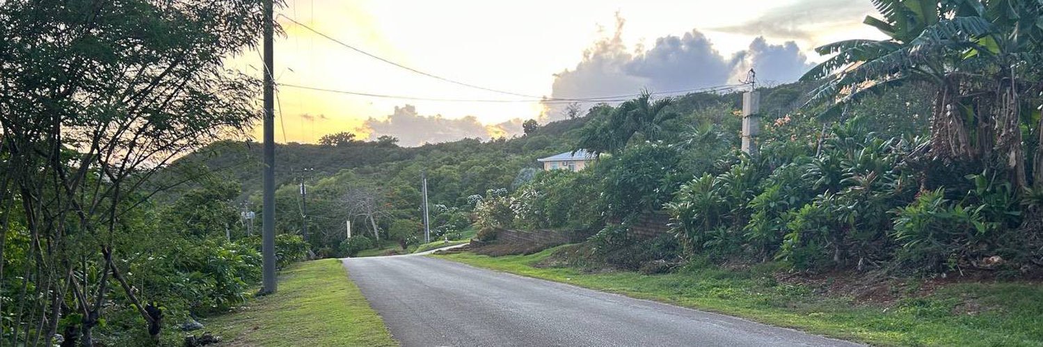 Dark Wolf 🐺🔜FWA2026 banner