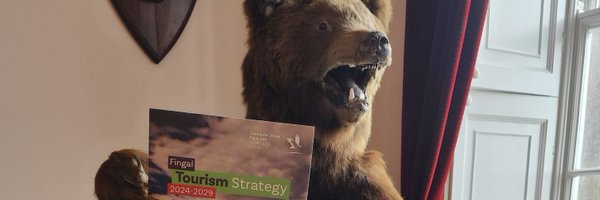 DPowerFingal Profile Banner