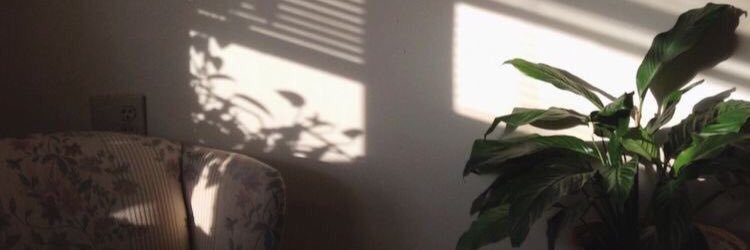 Wejadn_5500's profile banner image