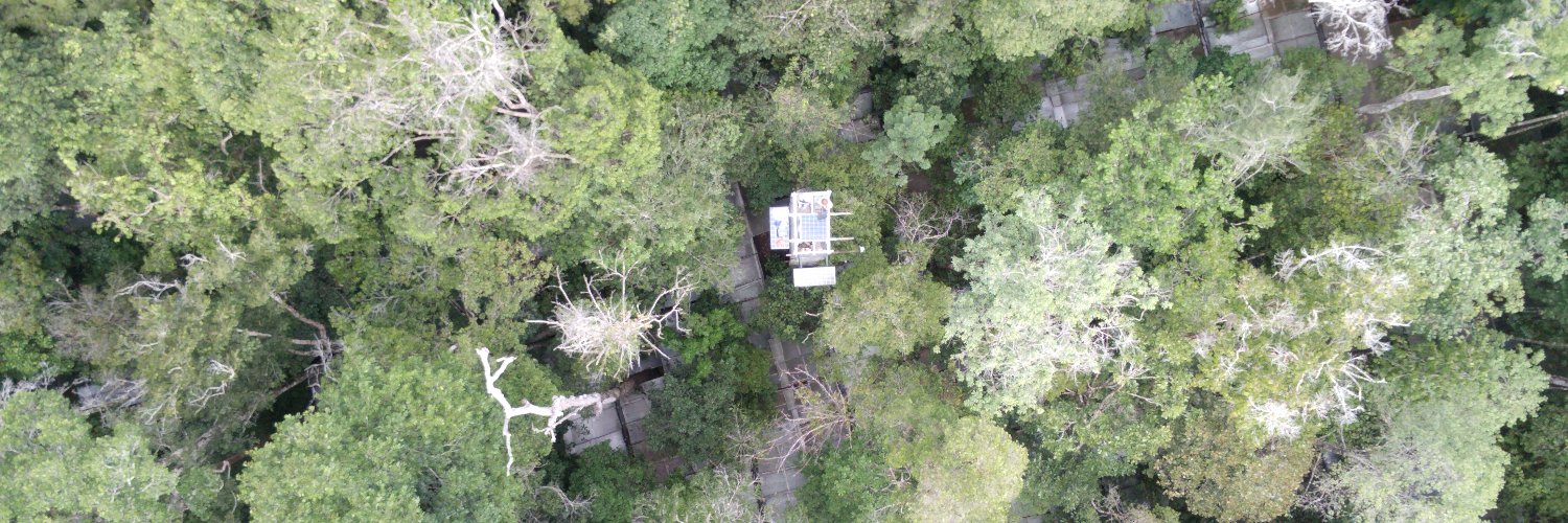 CLEANFOREST COST Action's banner