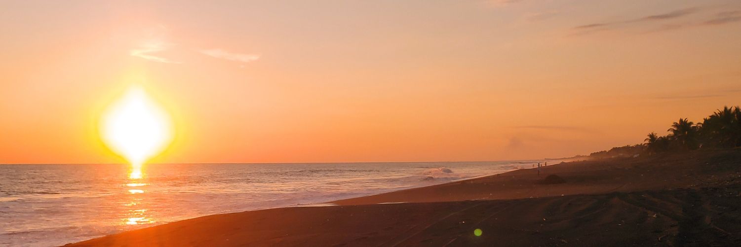 gersoft's profile banner image