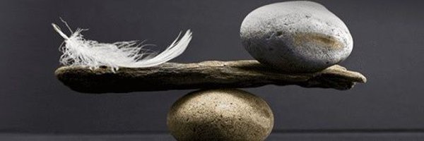 ZenSpiderMonkey Profile Banner