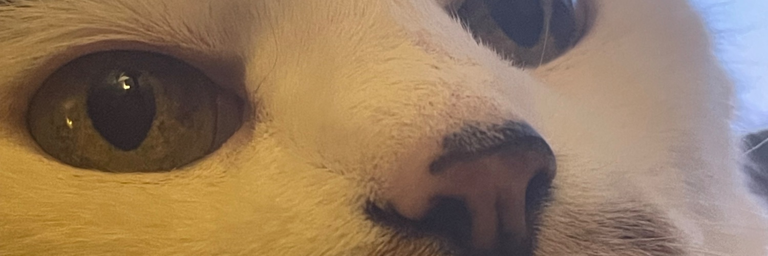 jenny banner
