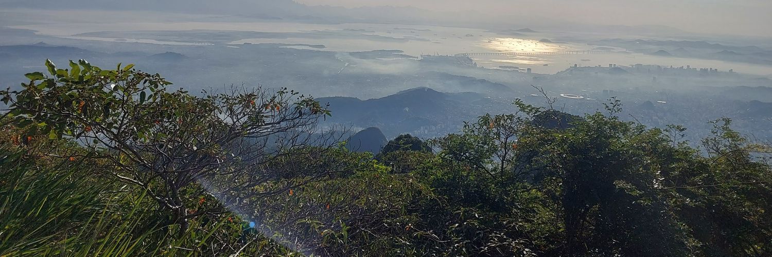 iriswg1's profile banner image