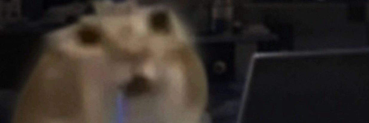 woofkei's profile banner image