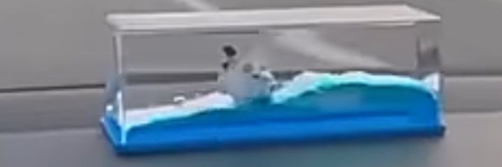 thisshail's profile banner image